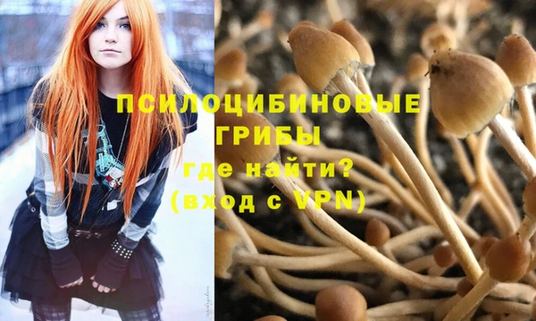соль курить ск Коряжма