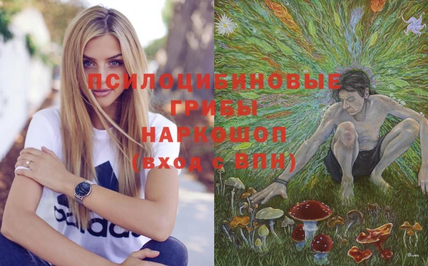 соль курить ск Коряжма